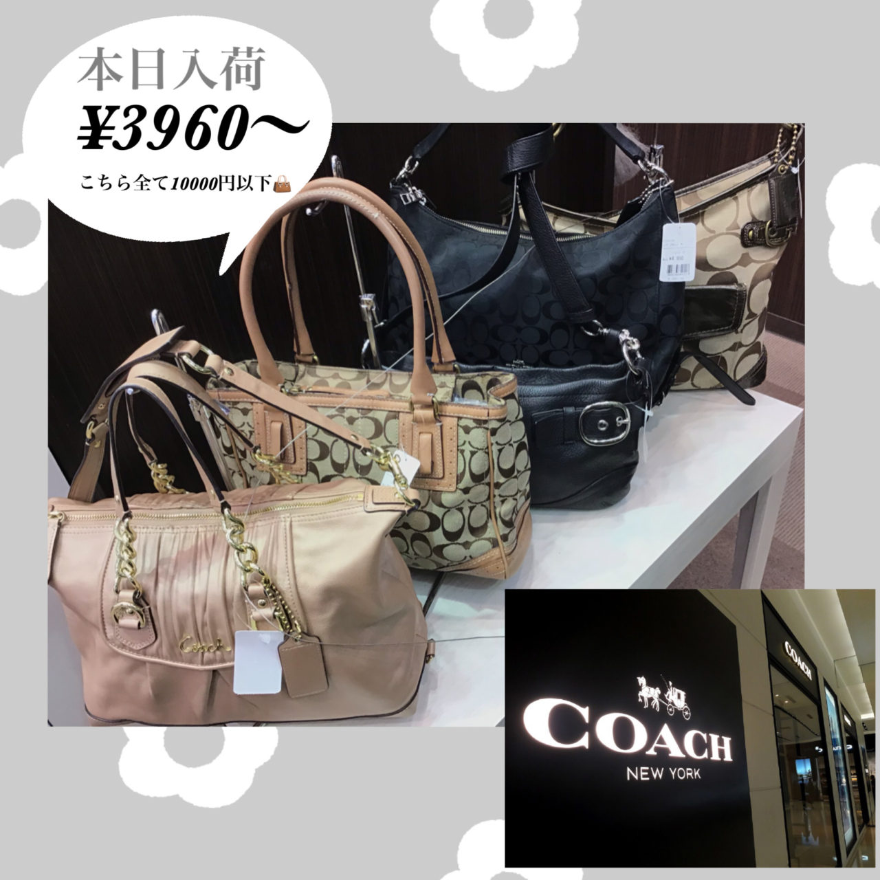 バッグ入荷👜