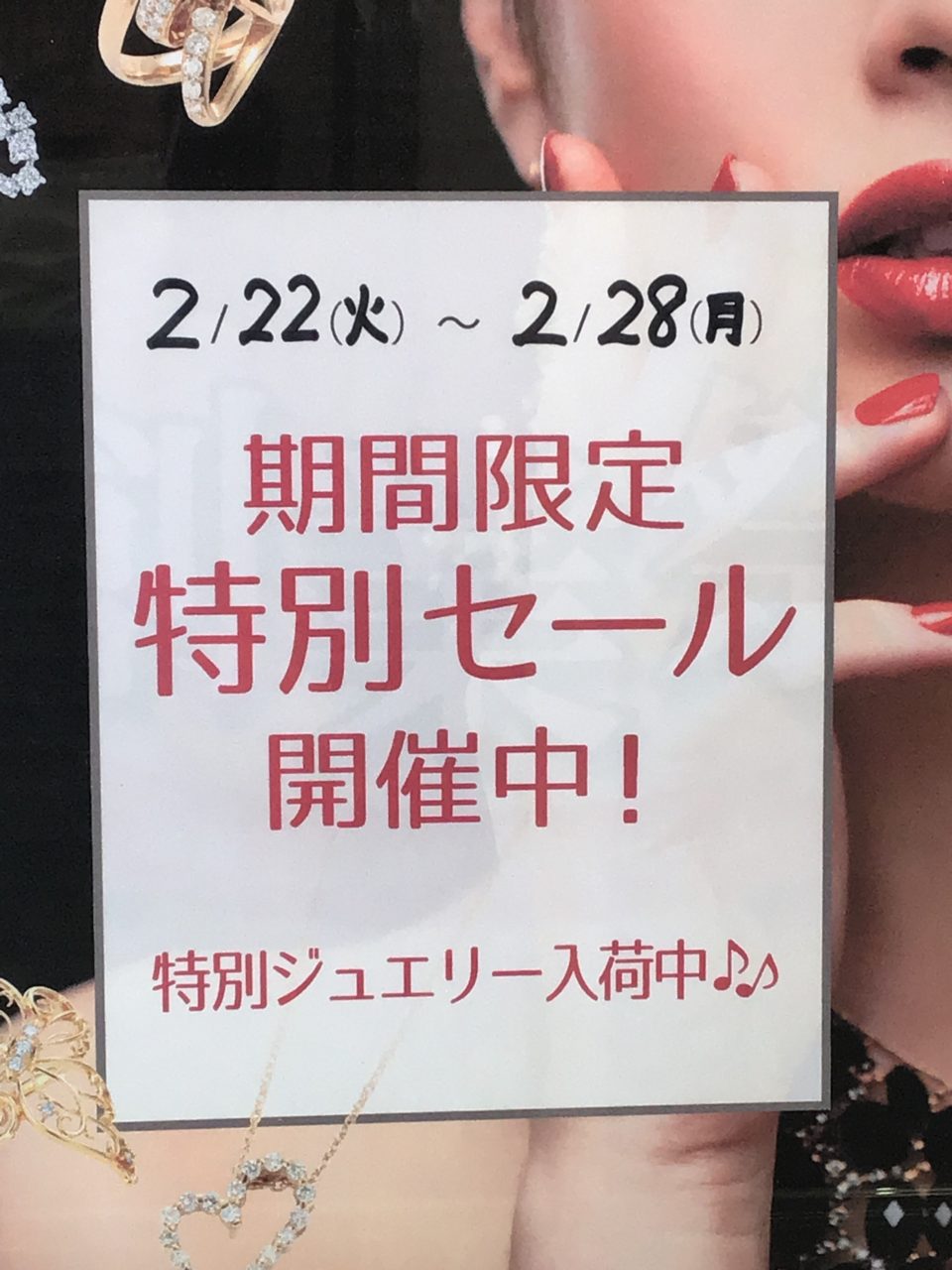 🉐期間限定 特別SALE 開催中‼️
