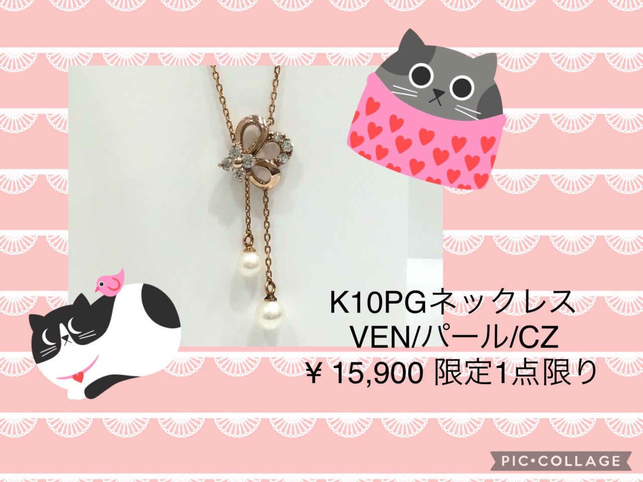 本日のお薦め商品
