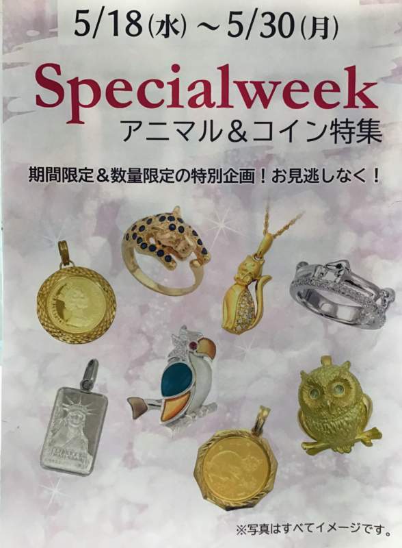 Special  week開催🎉💝✨✨✨