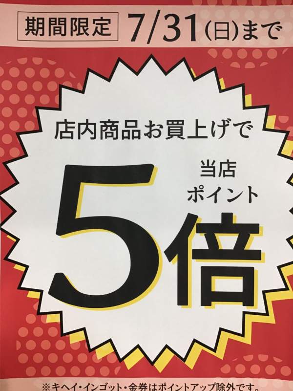 7/20〜7/31期間限定‼️お買上げポイント5倍‼️