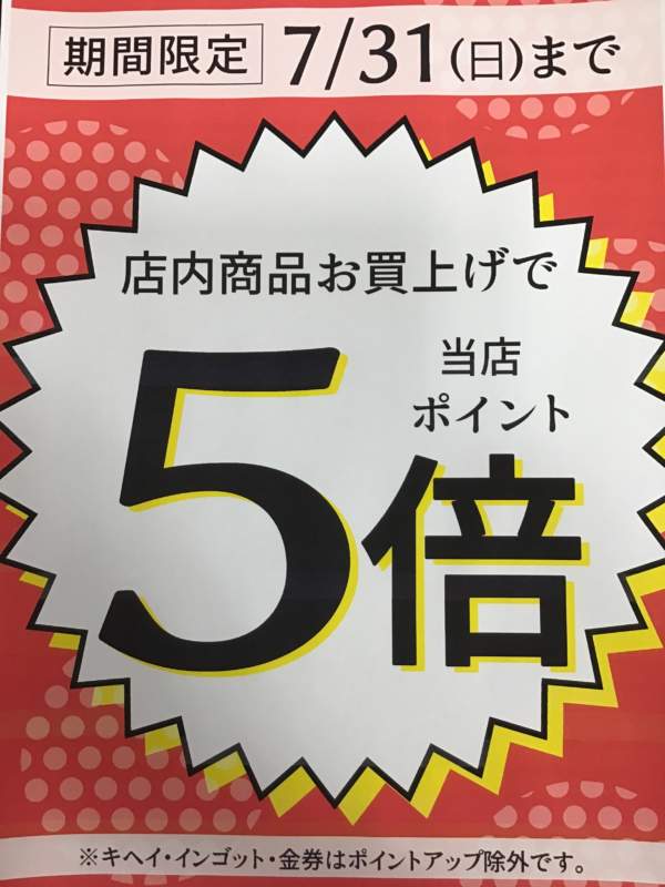 期間限定‼️ポイント5倍❣️