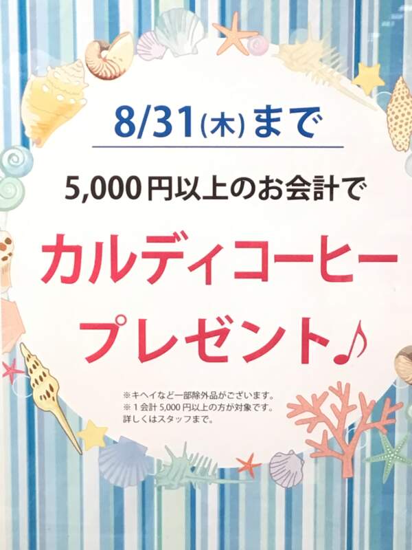 カルディコーヒー☕️プレゼント🎁