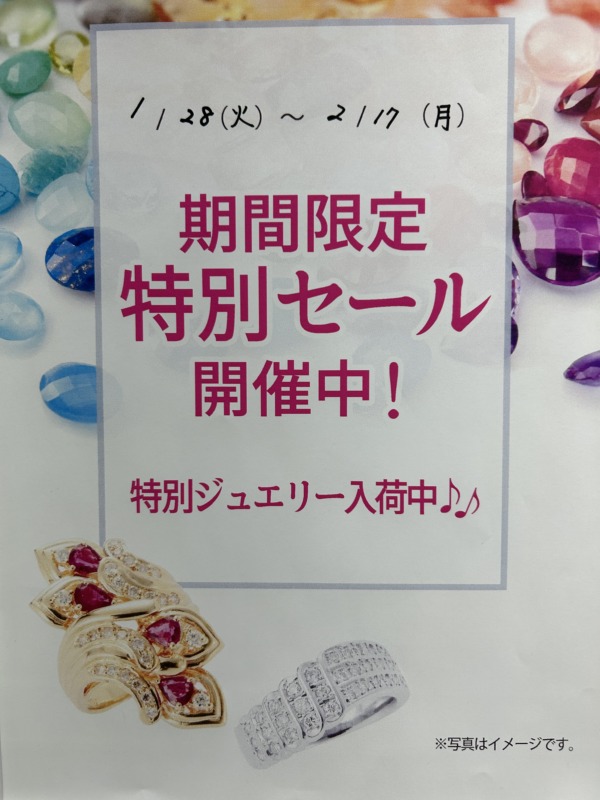 🌟特別ジュエリー入荷中🌟